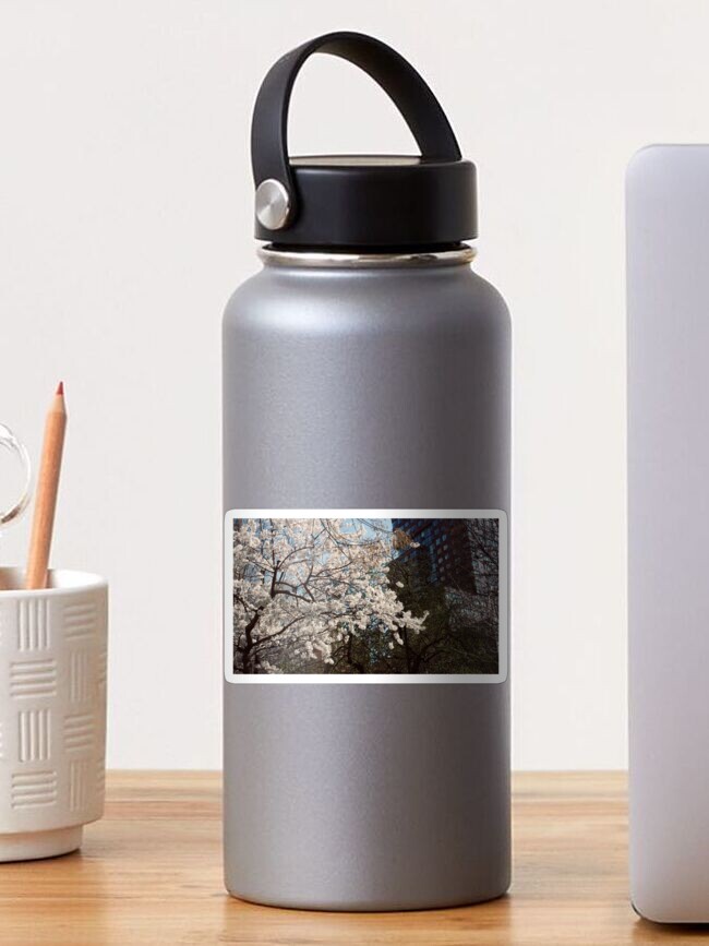 Thumbnail 1 of 3, Sticker, UNION SQUARE CHERRY BLOSSOM FLOWERS TREE NEW YORK NYC MANHATTAN designed and sold by teruyalab.