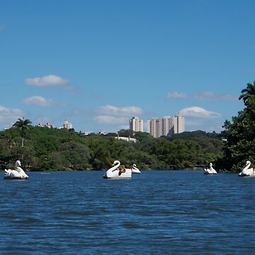 Artwork thumbnail, LAKE SWAN PEDAL BOATS CAMPINAS SAO PAULO BRAZIL by teruyalab