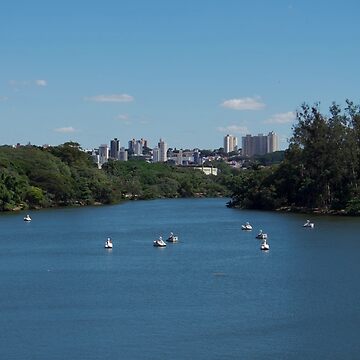Artwork thumbnail, LAKE SWAN PEDAL BOATS CAMPINAS SAO PAULO BRAZIL by teruyalab