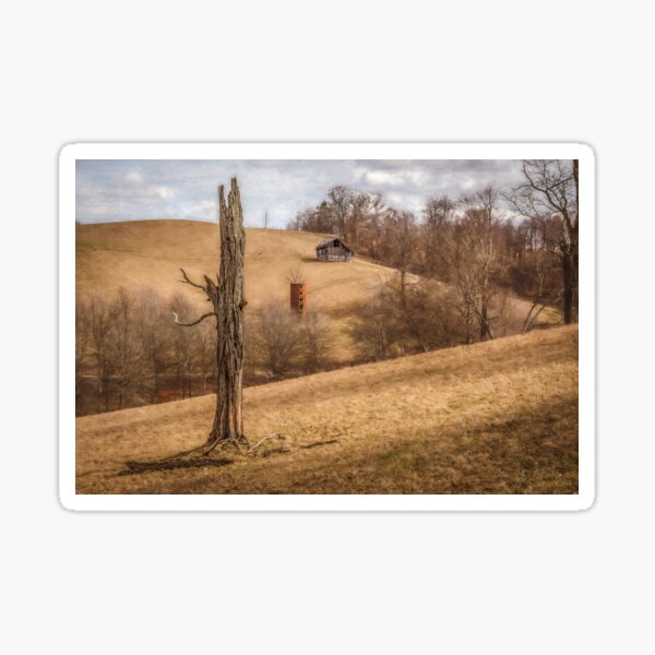 Vista previa del artículo con la obra «Silo abandonado del árbol muerto y un viejo granero», diseñado y vendido por Jim Love.