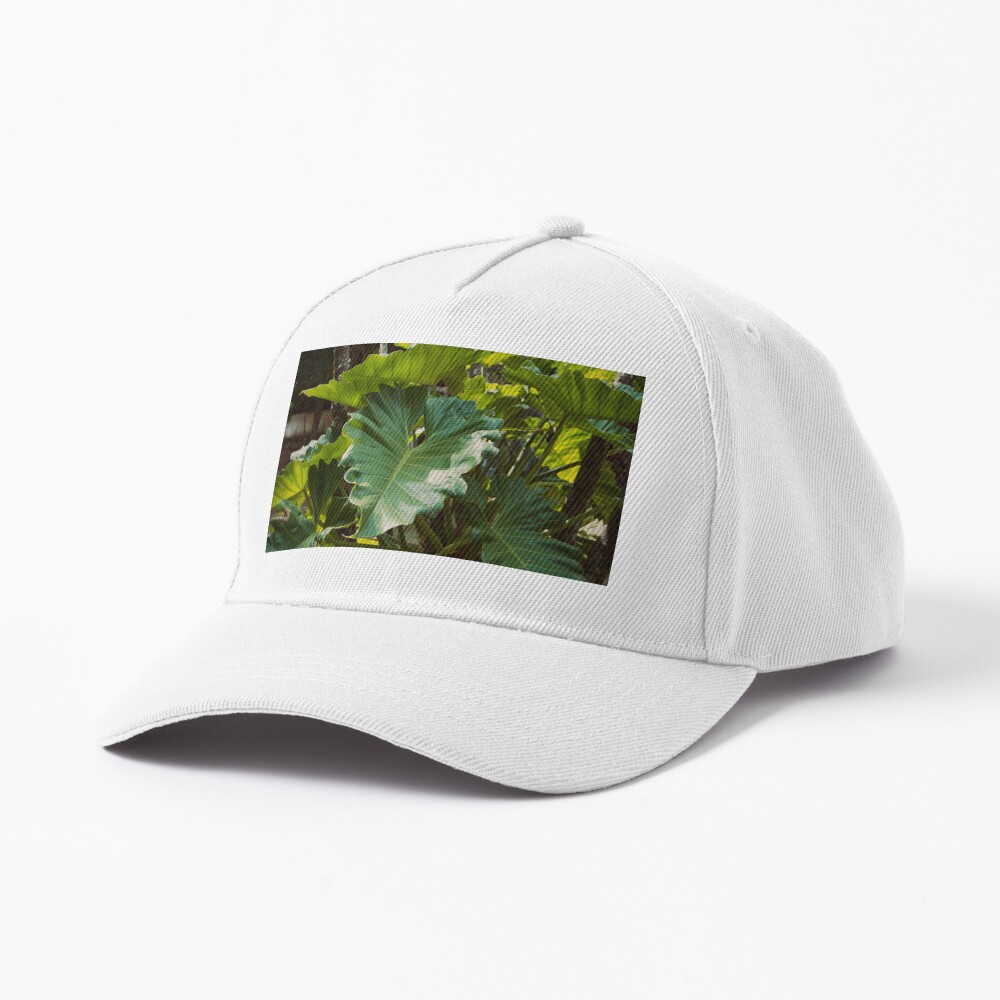 Item preview, Baseball Cap designed and sold by teruyalab.