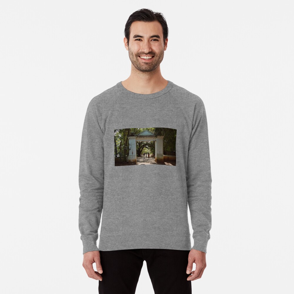 Item preview, Lightweight Sweatshirt designed and sold by teruyalab.