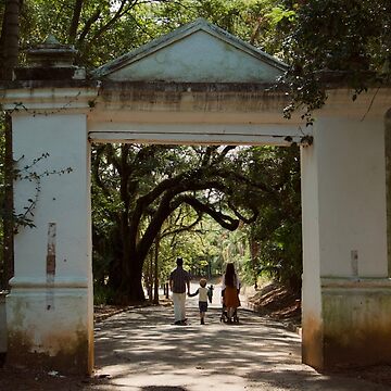 Artwork thumbnail, GATE ENTRANCE PARK JUNGLE FOREST GREEN NATURE by teruyalab