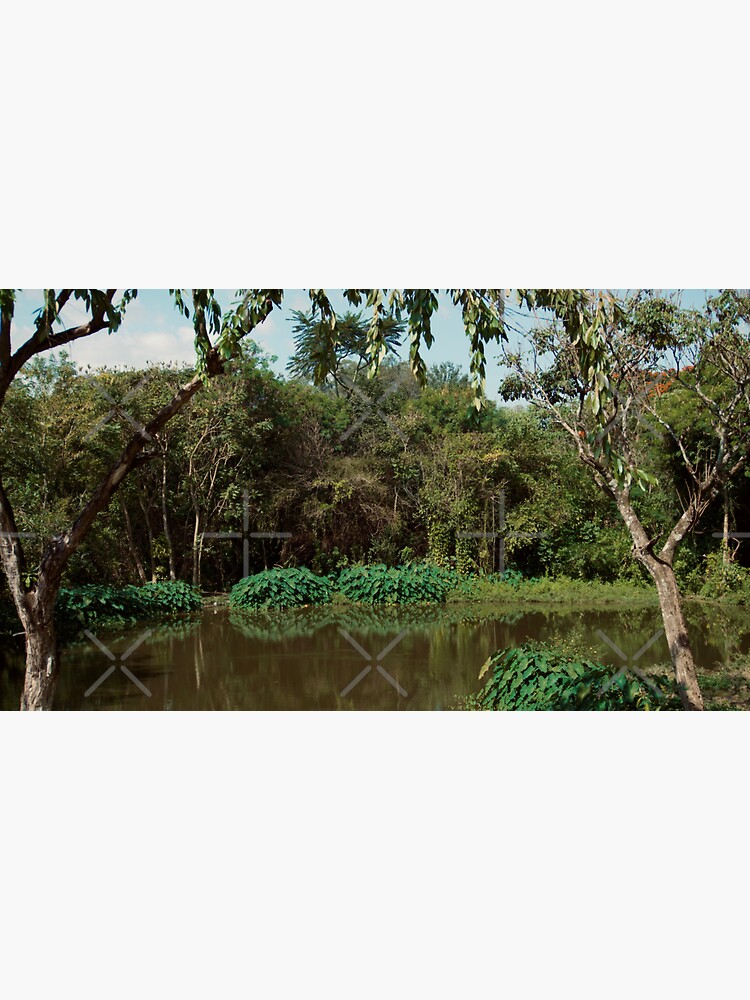 Thumbnail 3 of 3, Sticker, POND PLANTS JUNGLE NATURE designed and sold by teruyalab.