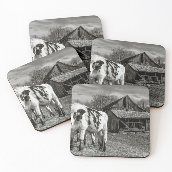 Item preview, Welcoming Locals 2 designed and sold by Jim Love.