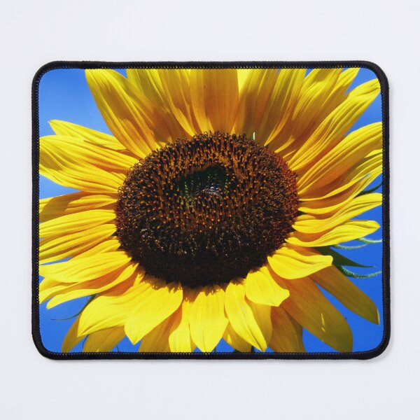Item preview, Sunshine Sunflower by Brandon Cable designed and sold by BrandonArtWorld.