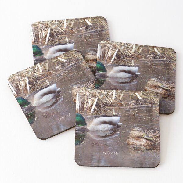 Item preview, Pareja de patos de Brandon Cable designed and sold by BrandonArtWorld.