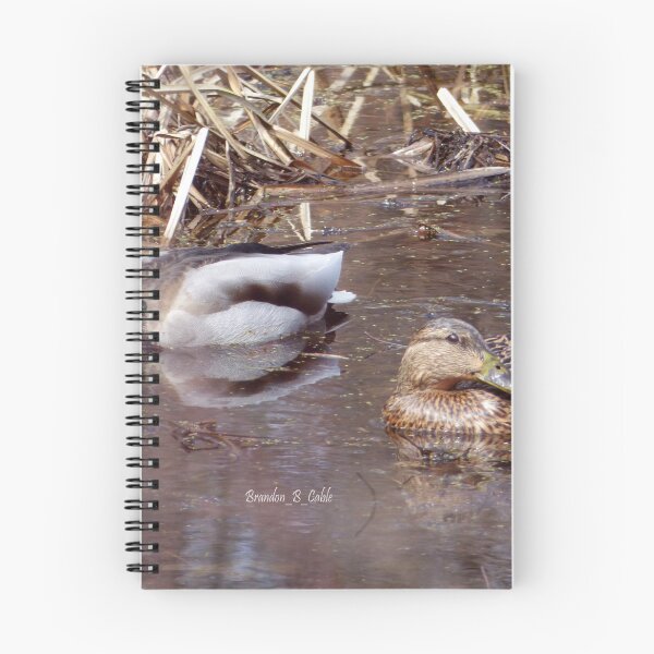 Item preview, Pareja de patos de Brandon Cable designed and sold by BrandonArtWorld.