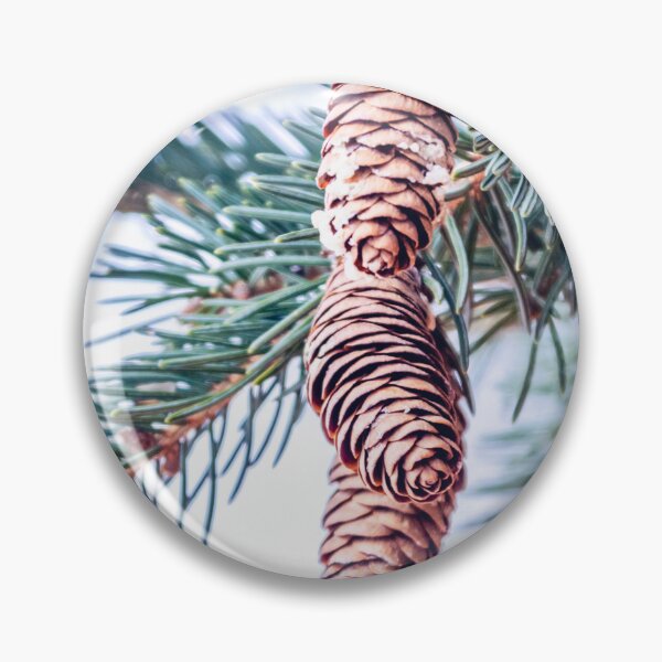 Item preview, Pine cones designed and sold by Gemini1987.