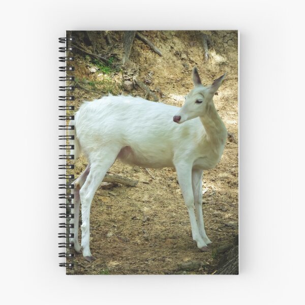 Item preview, Ciervo albino por Brandon Cable designed and sold by BrandonArtWorld.