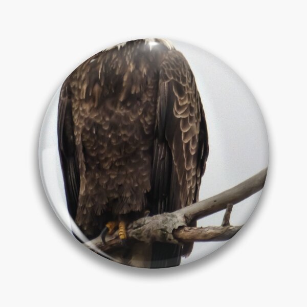 Artikelvorschau, Standhafter Weißkopfseeadler von Brandon Cable entworfen und verkauft von BrandonArtWorld.