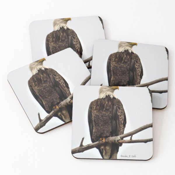 Item preview, Águila calva americana firme por Brandon Cable designed and sold by BrandonArtWorld.