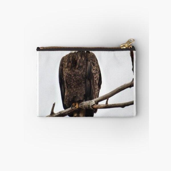 Item preview, Águila calva americana firme por Brandon Cable designed and sold by BrandonArtWorld.