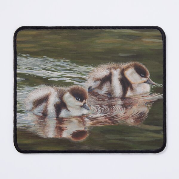 Item preview, Hastening – Paradise Shelduck Ducklings - transparency designed and sold by Marie-Claire Colyer.