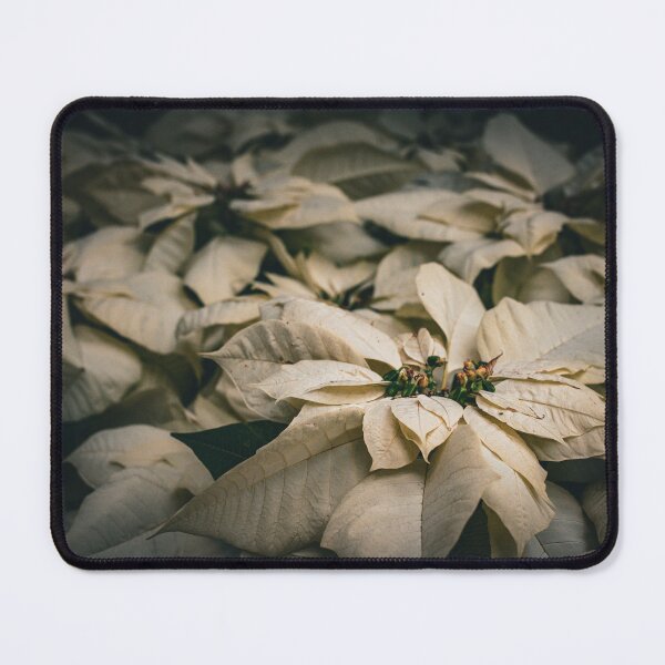 Item preview, Poinsetta designed and sold by akiobsession.