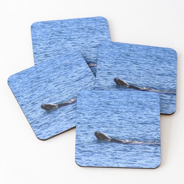 Item preview, Seal play designed and sold by zumi.