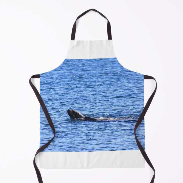 Item preview, Seal play designed and sold by zumi.