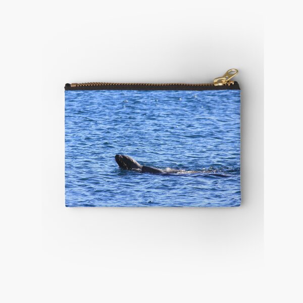 Item preview, Seal play designed and sold by zumi.
