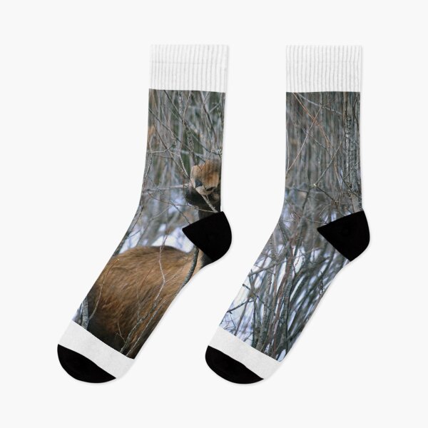 Item preview, Moose food designed and sold by zumi.