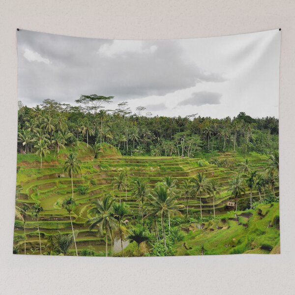 Item preview, Indonesia - Bali, Tegalalang Rice Field designed and sold by franck380.