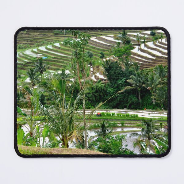 Item preview, Indonesia - Bali, Jatiluwih Rice Terraces designed and sold by franck380.