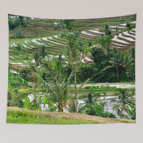 Item preview, Indonesia - Bali, Jatiluwih Rice Terraces designed and sold by franck380.
