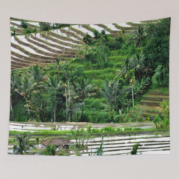 Item preview, Indonesia - Bali, Jatiluwih Rice Terraces designed and sold by franck380.
