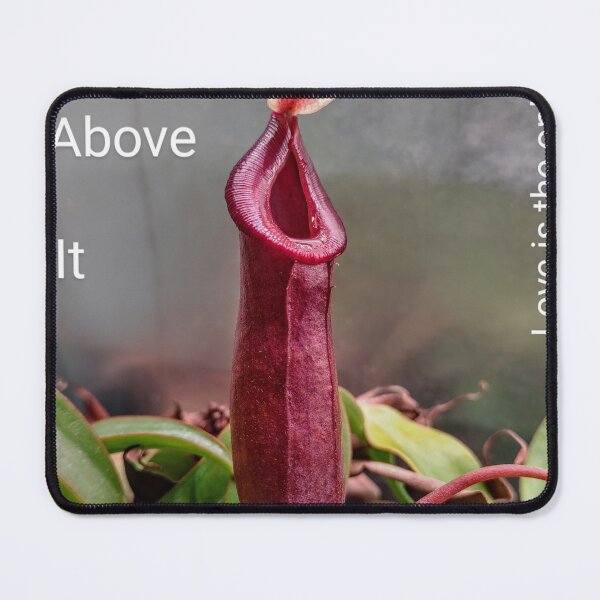 Item preview, Pitcher plant #whatever designed and sold by Deathplant.