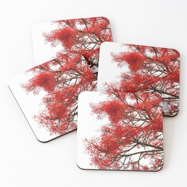 Item preview, Flame Tree designed and sold by photosbymia.