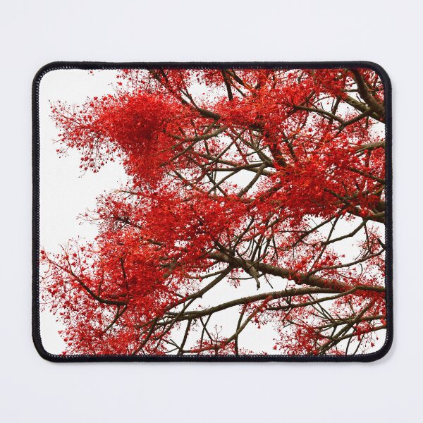 Item preview, Flame Tree designed and sold by photosbymia.