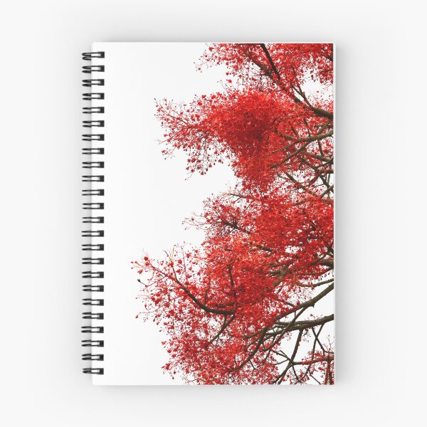 Item preview, Flame Tree designed and sold by photosbymia.