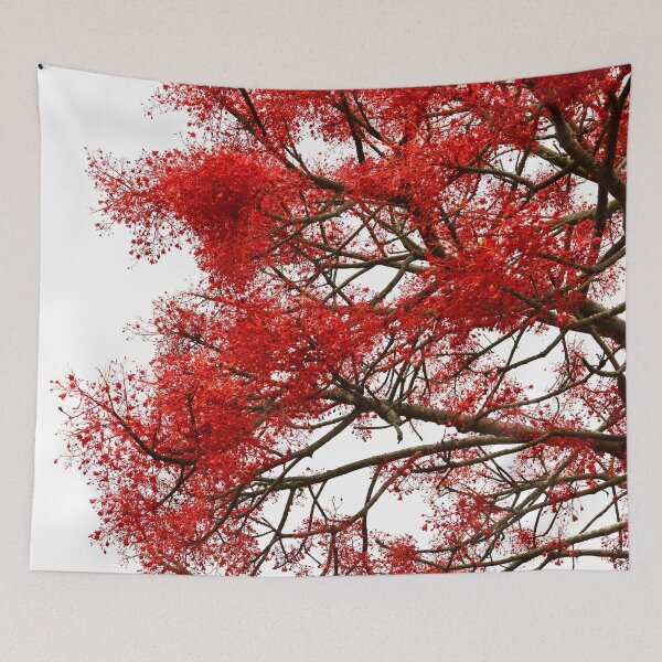 Item preview, Flame Tree designed and sold by photosbymia.
