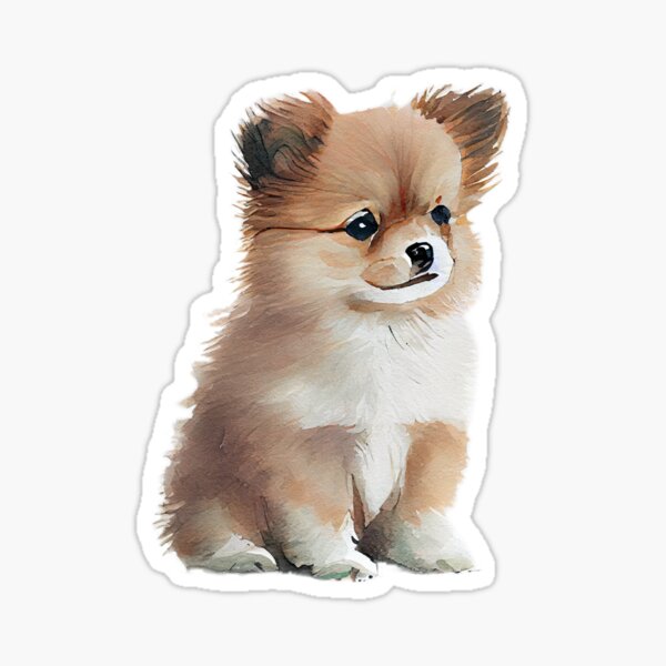 Pomeranian Puppy Sticker
