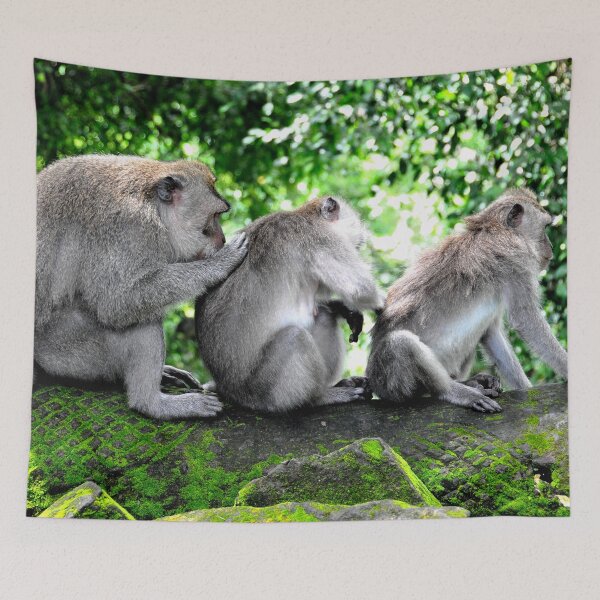 Item preview, Cleaning Team: Three Monkeys in Action in Bali designed and sold by franck380.