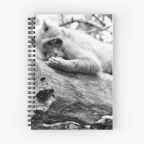 Item preview, Indonesia - Bali, Ubud, Monkey Forest designed and sold by franck380.
