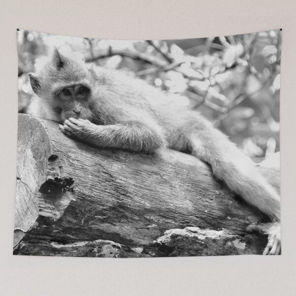 Item preview, Indonesia - Bali, Ubud, Monkey Forest designed and sold by franck380.