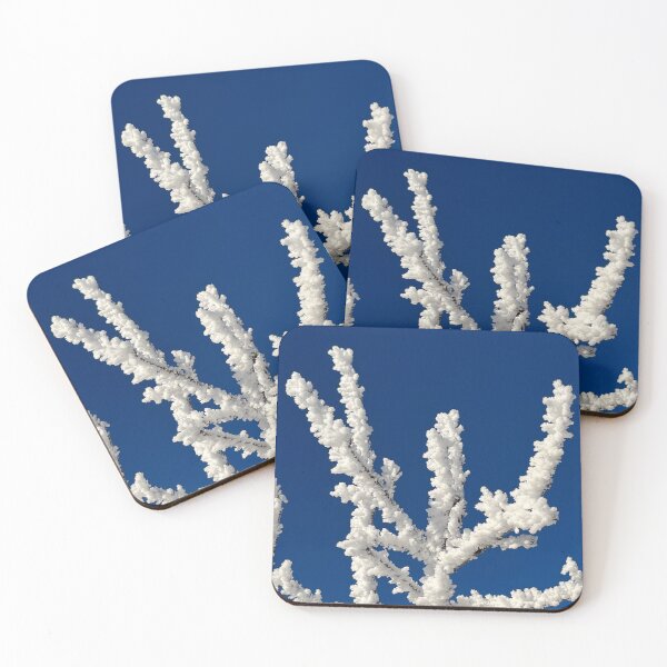 Item preview, Frozen! An original hoar frost photo!  designed and sold by Ivy Uttaro.