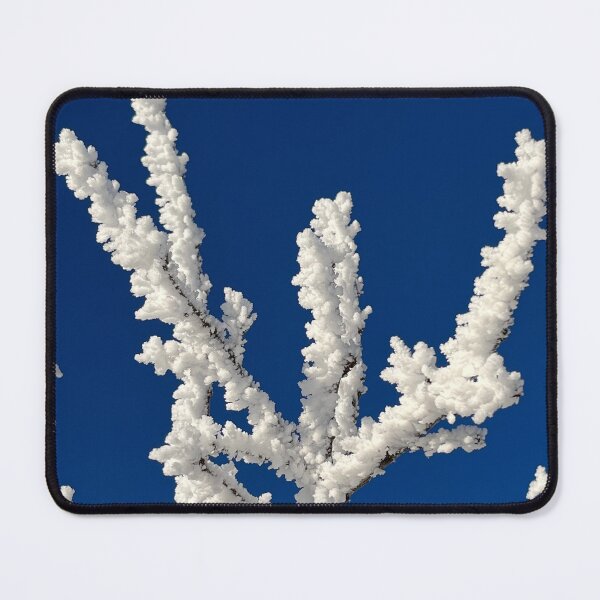 Item preview, Frozen! An original hoar frost photo!  designed and sold by Ivy Uttaro.