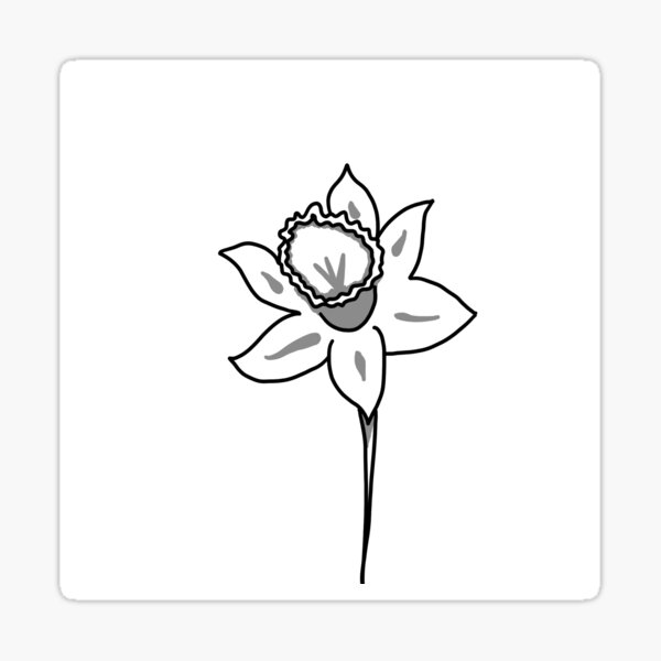 Daffodil Sticker