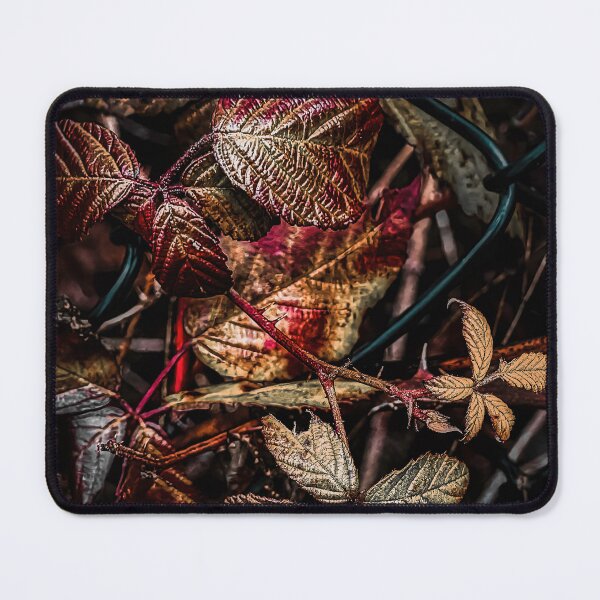 Item preview, Fenced designed and sold by Steve Walser.