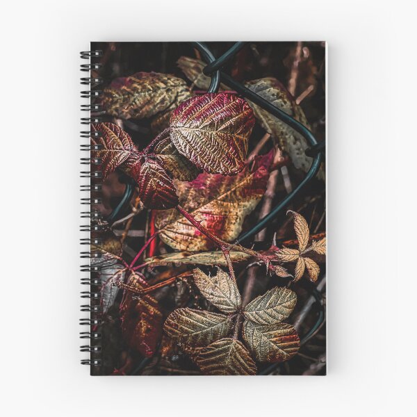 Item preview, Fenced designed and sold by Steve Walser.