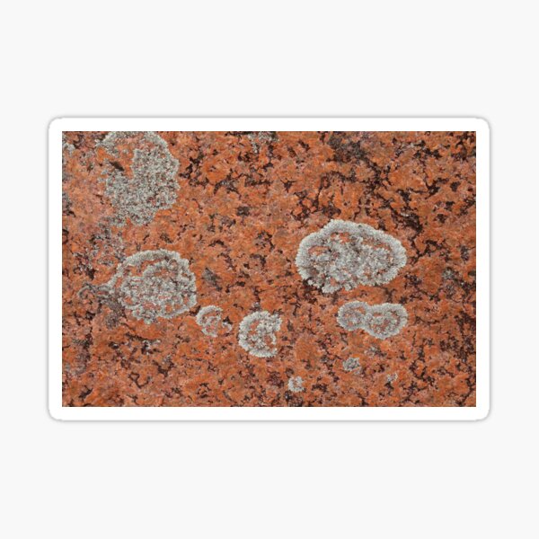 Item preview, Lichen Delight designed and sold by Honey Myrtle Studio.