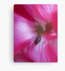 Tag You're It !! Metal Print