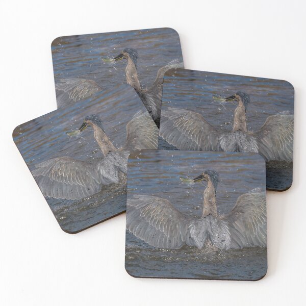 Item preview, Striated heron in all his beauty designed and sold by Ozjanette90.