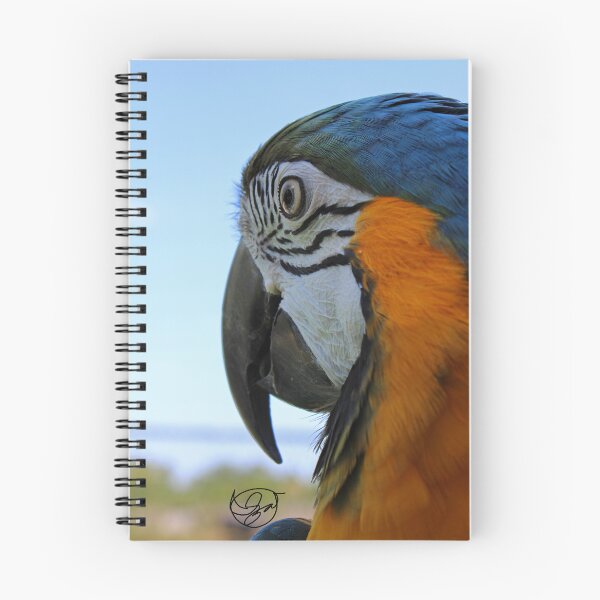 Item preview, Watchful Eyes - Macaw Portrait designed and sold by Izzyanna Andersen.