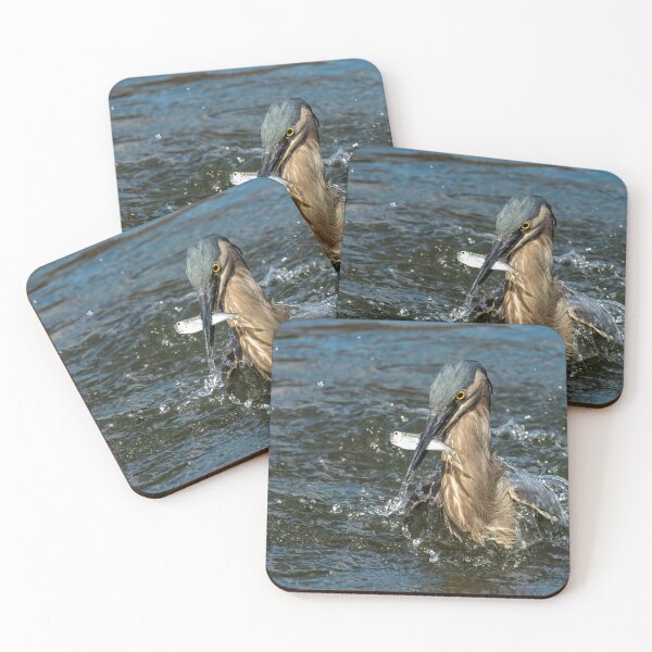 Item preview, Striated heron with his catch of the day designed and sold by Ozjanette90.