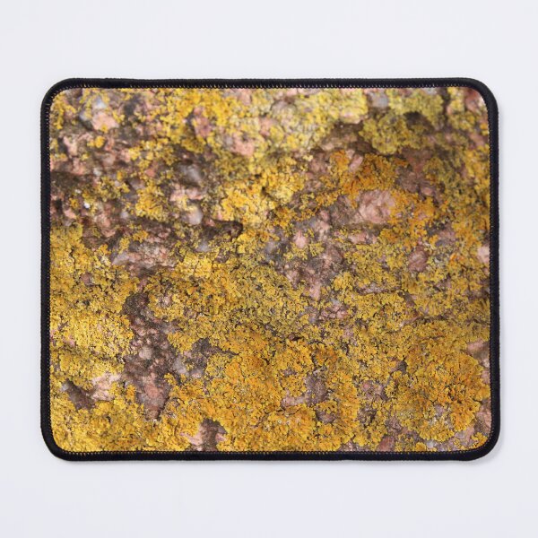 Item preview, Lichen Delight 2 designed and sold by Honey Myrtle Studio.