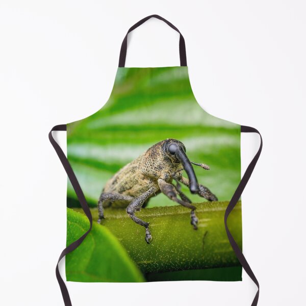 Item preview, A true weevil, also known as snout beetle (Curculionidae) designed and sold by AvonPerception.
