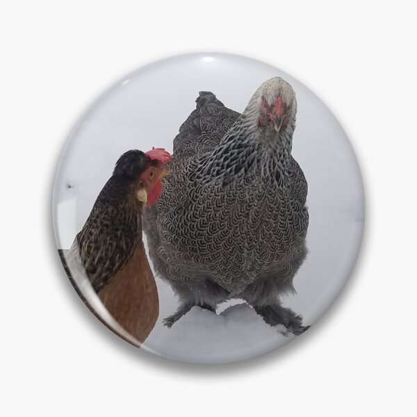 Item preview, Leghorn and Brahma in the snow designed and sold by WillsFleshArt.