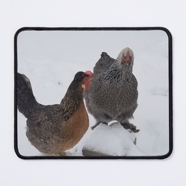 Item preview, Leghorn and Brahma in the snow designed and sold by WillsFleshArt.